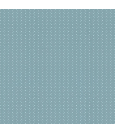 002-GAR