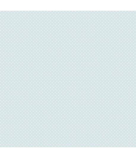048-CAN