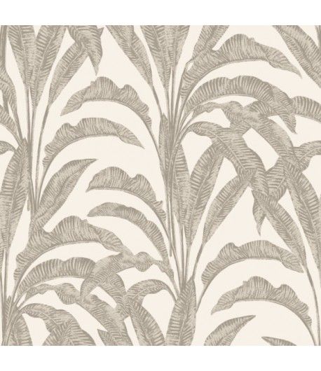 BL1907