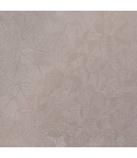 BL69803
