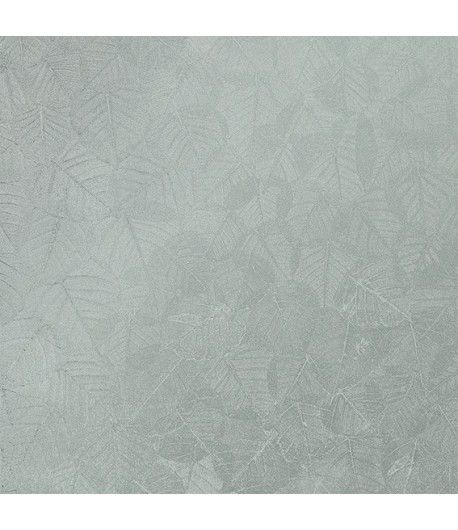 BL69804